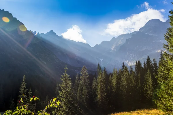 Paisaje de montañas.Montañas Tatra, Polonia . —  Fotos de Stock