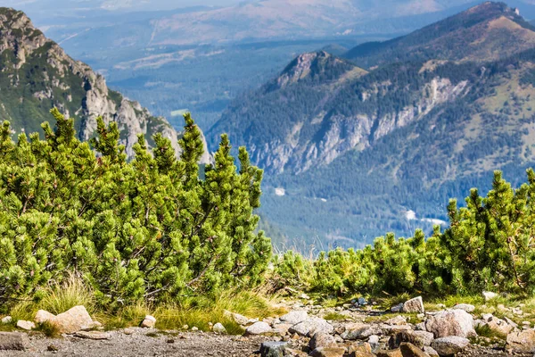 山 landscape.tatra 山、ポーランド. — ストック写真