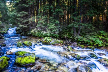 hiking trail dan tatra Dağları manzarası. Polonya. Avrupa. 