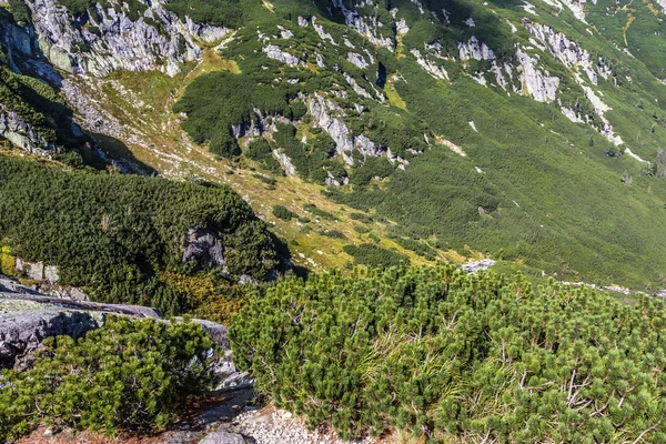 Uitzicht op tatra bergen van het wandelpad. Polen. Europa. — Stockfoto