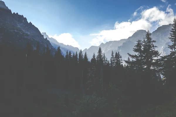 Uitzicht op tatra bergen van het wandelpad. Polen. Europa. — Stockfoto