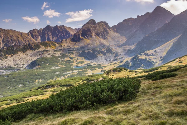 Η θέα των βουνών tatra από πεζοπορική διαδρομή. Πολωνία. Ευρώπη. — Φωτογραφία Αρχείου