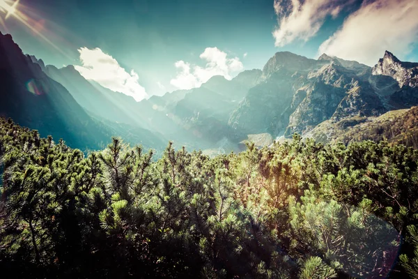 View of Tatra Mountains from hiking trail. Poland. Europe. Royalty Free Stock Images