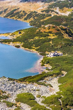 Polonya 'nın Tatra Dağları' ndaki 5 göl vadisinde dağ gölü.