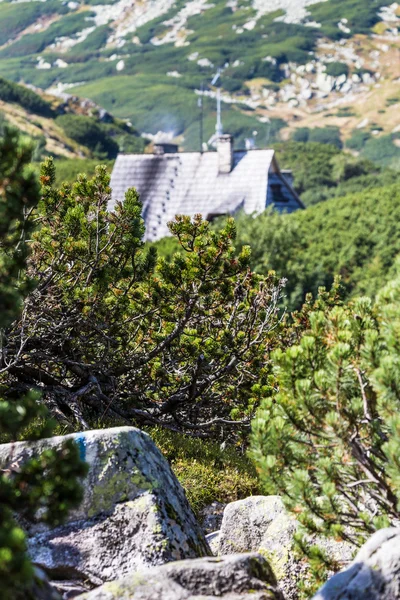 Ορεινή λίμνη σε 5 λίμνες κοιλάδα στα βουνά Tatra, Πολωνία. — Φωτογραφία Αρχείου