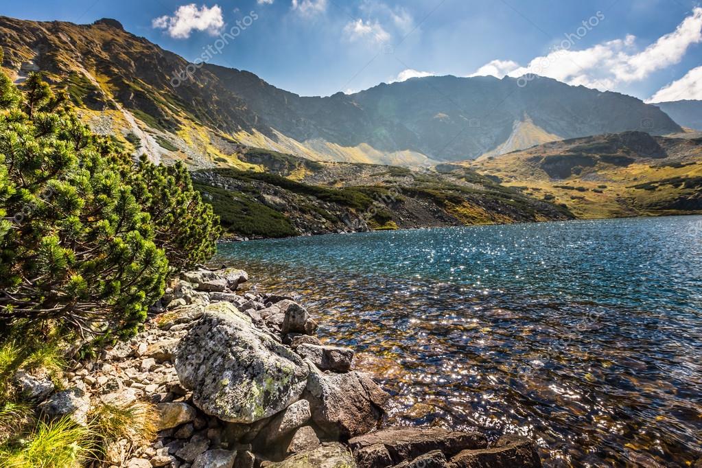 ポーランドのタトラ山脈にある5つの湖の谷の山の湖 ストック写真 C Curioso Travel Photography