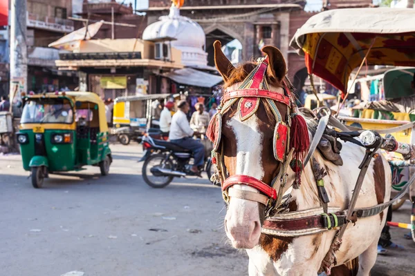 Ride horse cart at Sadar Market, India. — Stock Photo, Image