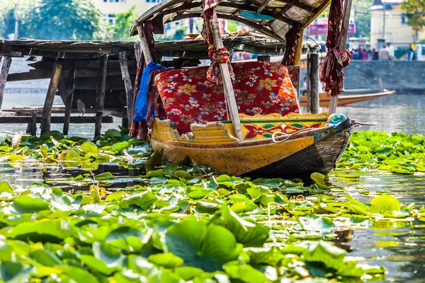 Shikara barco em Dal Lake, Caxemira Índia — Fotografia de Stock