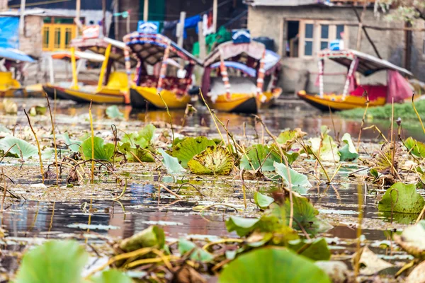 Shikara boat in Dal lake , Kashmir India — Stock Photo, Image