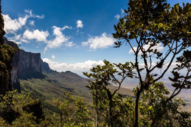 Plato Roraima Gran Sabana bölgesi - Venezüella ' dan Güney Amerika'ya görüntülemek 