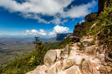 Track to Mount Roraima - Venezuela, South America  clipart