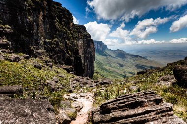 View from the plateau Roraima to Gran Sabana region - Venezuela, South America  clipart