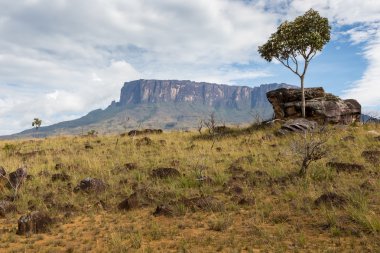 Mount Roraima - Venezüella ' dan Güney Amerika'ya izlemek 