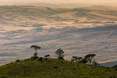 Mount Roraima - Venezüella ' dan Güney Amerika'ya izlemek 