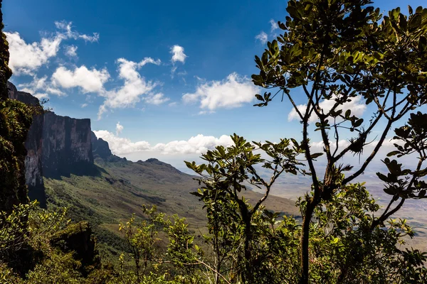 Vista desde la meseta de Roraima a la región de Gran Sabana - Venezuela, América del Sur —  Fotos de Stock