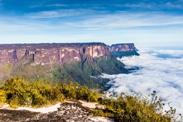 Vista do Roraima tepui em Kukenan tepui no nevoeiro - Venezuela, América Latina — Fotografia de Stock