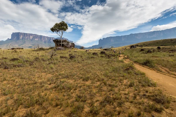 Pista para Monte Roraima - Venezuela, América do Sul — Fotografia de Stock