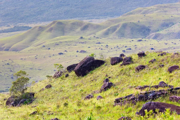 Track to Mount Roraima - Venezuela, South America — Stock Photo, Image