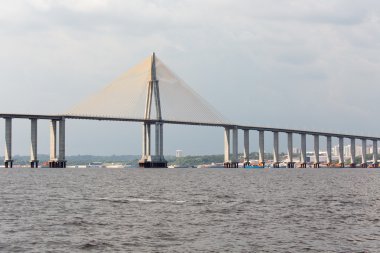 Manaus Iranduba Köprüsü (Ponte Rio Negro Brezilya olarak adlandırılır) bir köprü Rio Negro Manaus ve Iranduba şehirlerinin bağlantıları uzunlukta 3595 metre ile sona erdi. 24 Ekim 2011 tarihinde açıldı 
