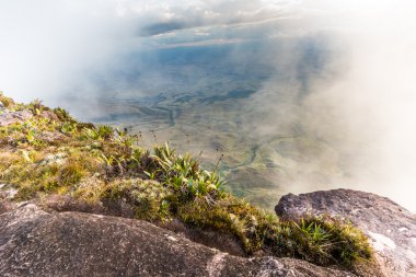 Roraima Yaylası Grand Sabana - Venezuela, Latin Amerika üzerinde görünümünden 