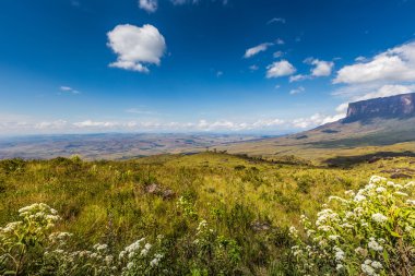 The view from the plateau of Roraima on the Grand Sabana - Venezuela, Latin America  clipart
