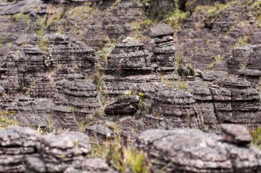 Plato Roraima tepui - Venezuela, Latin Amerika'nın tuhaf antik kayalar 