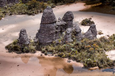 Plato Roraima tepui - Venezuela, Latin Amerika'nın tuhaf antik kayalar 