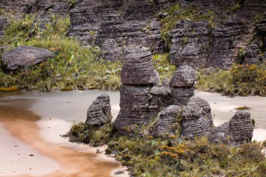 Bizarre ancient rocks of the plateau Roraima tepui - Venezuela, Latin America  clipart
