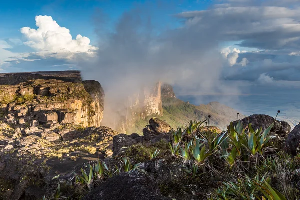 La vue depuis le plateau de Roraima sur le Grand Sabana - Venezuela, Amérique latine — Photo