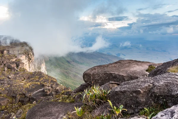 Вид від плато Рорайма на Гран-Сабана - Венесуела, Латинській Америці — стокове фото