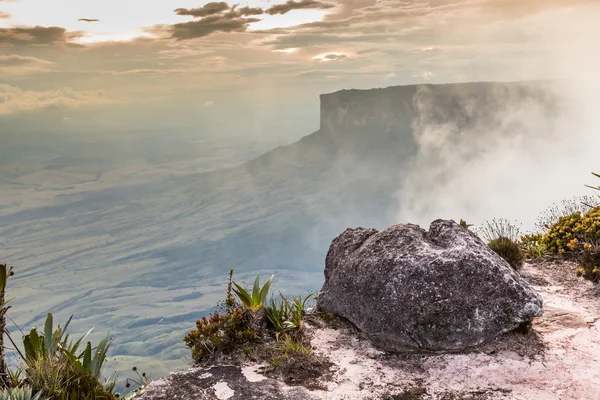 Widok z płaskowyż Roraima w Ameryce Łacińskiej Grand Sabana - Wenezuela, — Zdjęcie stockowe