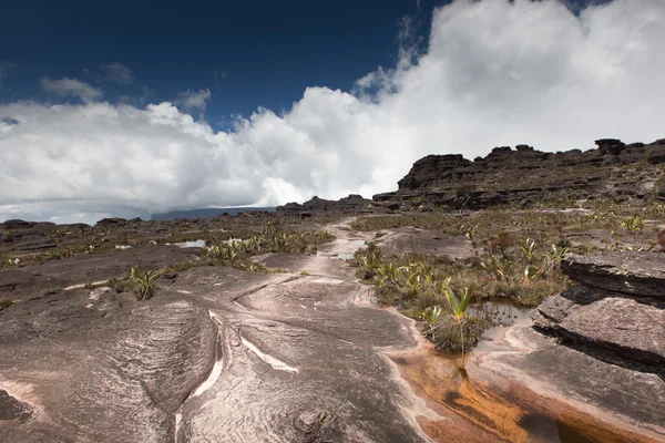 Bizarre ancient rocks of the plateau Roraima tepui - Venezuela, Latin America — Stock Photo, Image