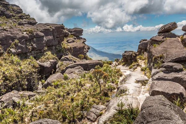 奇怪古岩石高原罗赖马 tepui-委内瑞拉，拉美国家 — 图库照片