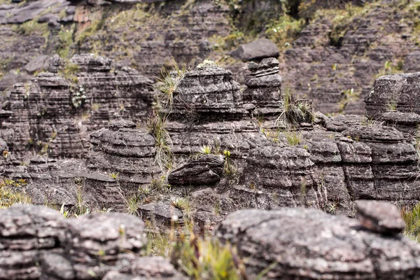 Bizarre ancient rocks of the plateau Roraima tepui - Venezuela, Latin America — Stock Photo, Image