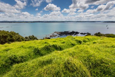 Landscape from Russell near Paihia, Bay of Islands, New Zealand clipart