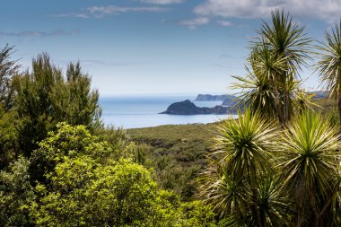 Russell Paihia, Bay Islands, Yeni Zelanda yakınındaki üzerinden manzara
