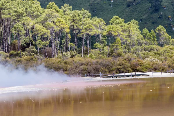 Champagne Pool in Waiotapu Thermal Reserve, Rotorua, New Zealand — Stock Photo, Image