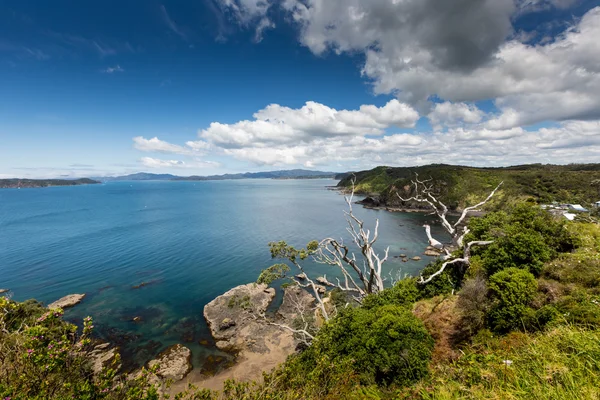 Krajina od Russell poblíž Paihia, ostrovy Bay, Nový Zéland — Stock fotografie