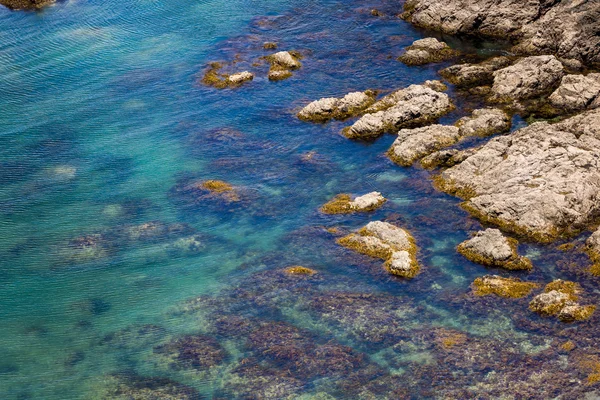 A táj Russell közelében Paihia, Bay of Islands, Új-Zéland — Stock Fotó