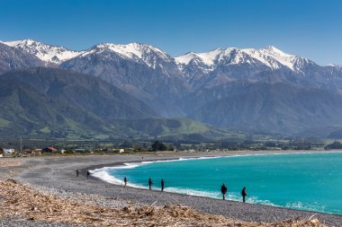 Kaikoura Sahili, Güney Adası, Yeni Zelanda 