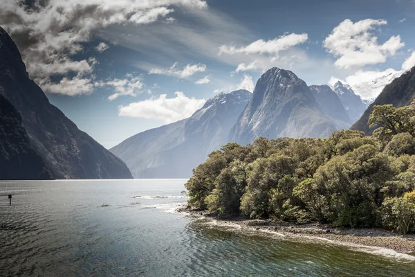 Milford Sound, Fiordland, New Zealand. - Stock-foto