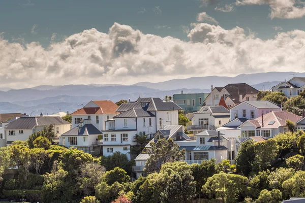 Город Веллингтон, Новая Зеландия — стоковое фото