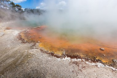 Waiotapu 'daki Şampanya Havuzu Termal Rezervi, Rotorua, Yeni Zelanda