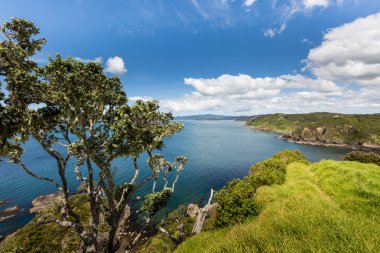 Russell Paihia, Bay Islands, Yeni Zelanda yakınındaki üzerinden manzara