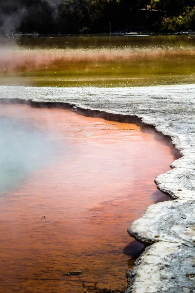 Piscină de șampanie în Waiotapu Rezervație termică, Rotorua, Noua Zeelandă — Fotografie, imagine de stoc