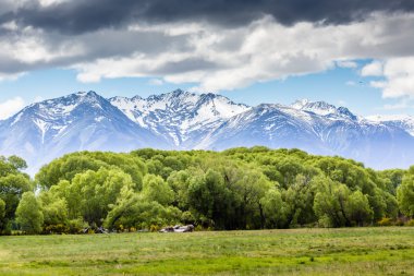 Ohau Valley View - New Zealand  clipart