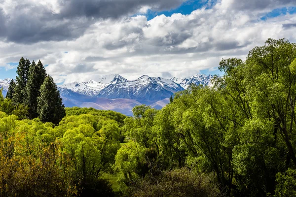 Ohau Valley View - Nowa Zelandia — Zdjęcie stockowe