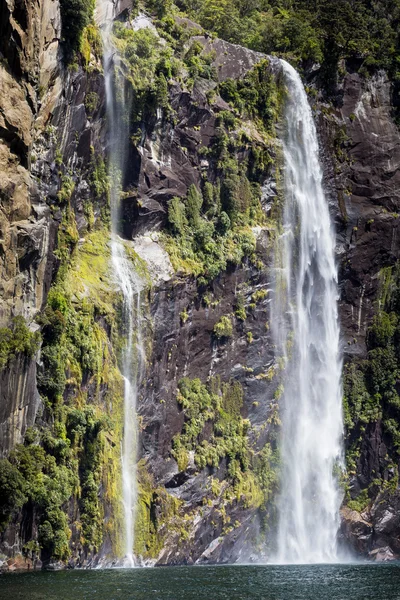 Sonido de Milford. Nueva Zelanda fiordland —  Fotos de Stock