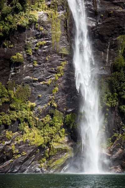 Milford sound. Nieuw-Zeeland fiordland — Stockfoto