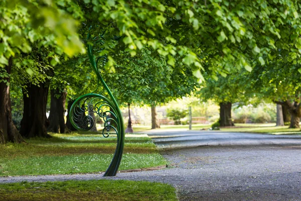 Démêler la fougère, l'un des symboles de la Nouvelle-Zélande . — Photo